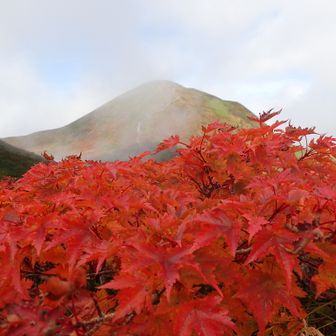 やっとこ登山