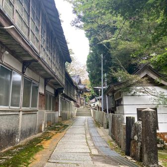 参道の裏側みたい…