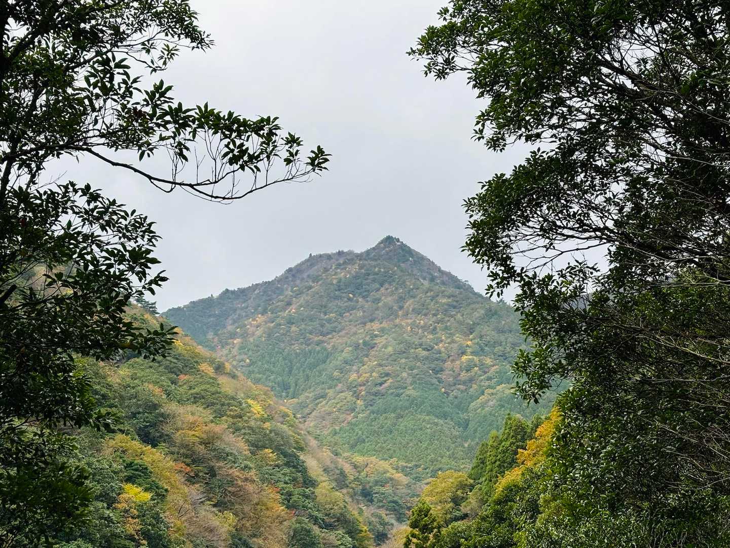 入道ヶ岳-椿大神社奥宮-水沢峠-鎌ヶ岳登山口 周回コースの写真