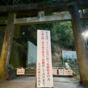 奥社へは午前9時まで封鎖😭
ここまでは下調べできない…