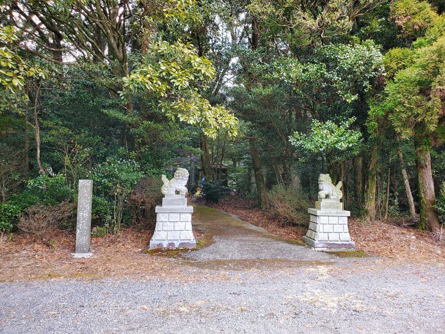 大関山の写真