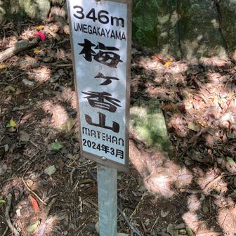 通り過ぎそうな場所にある梅ヶ香山346mは、