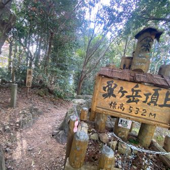 ‪⸜ 🙌🏻 ⸝‍