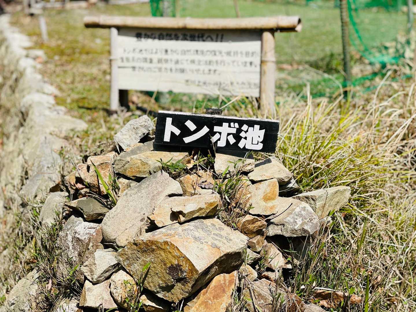 トンボ池…🤔