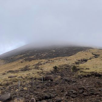 ここから登りがハードモードになる。さて、登りますか。