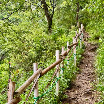 木の根や粘土質の土道は滑りやすい