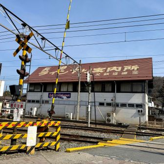 と思ったら…川の水量が少な過ぎて欠航してました😭