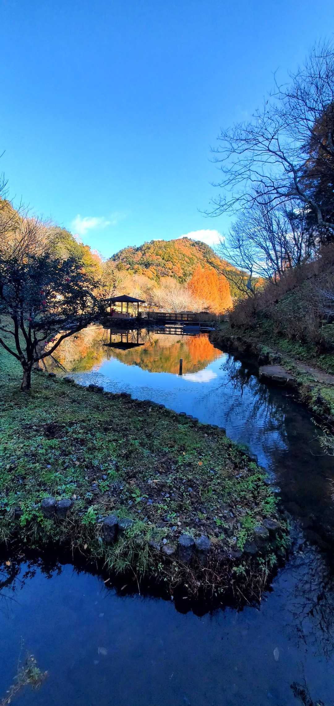 みのかも健康の森登山口-高木山登山口-高木山-富士山 周回コースの写真