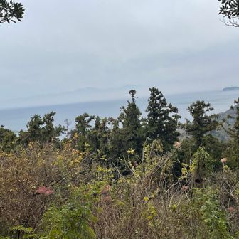 奥に箱根方面のお山達（確か😂）