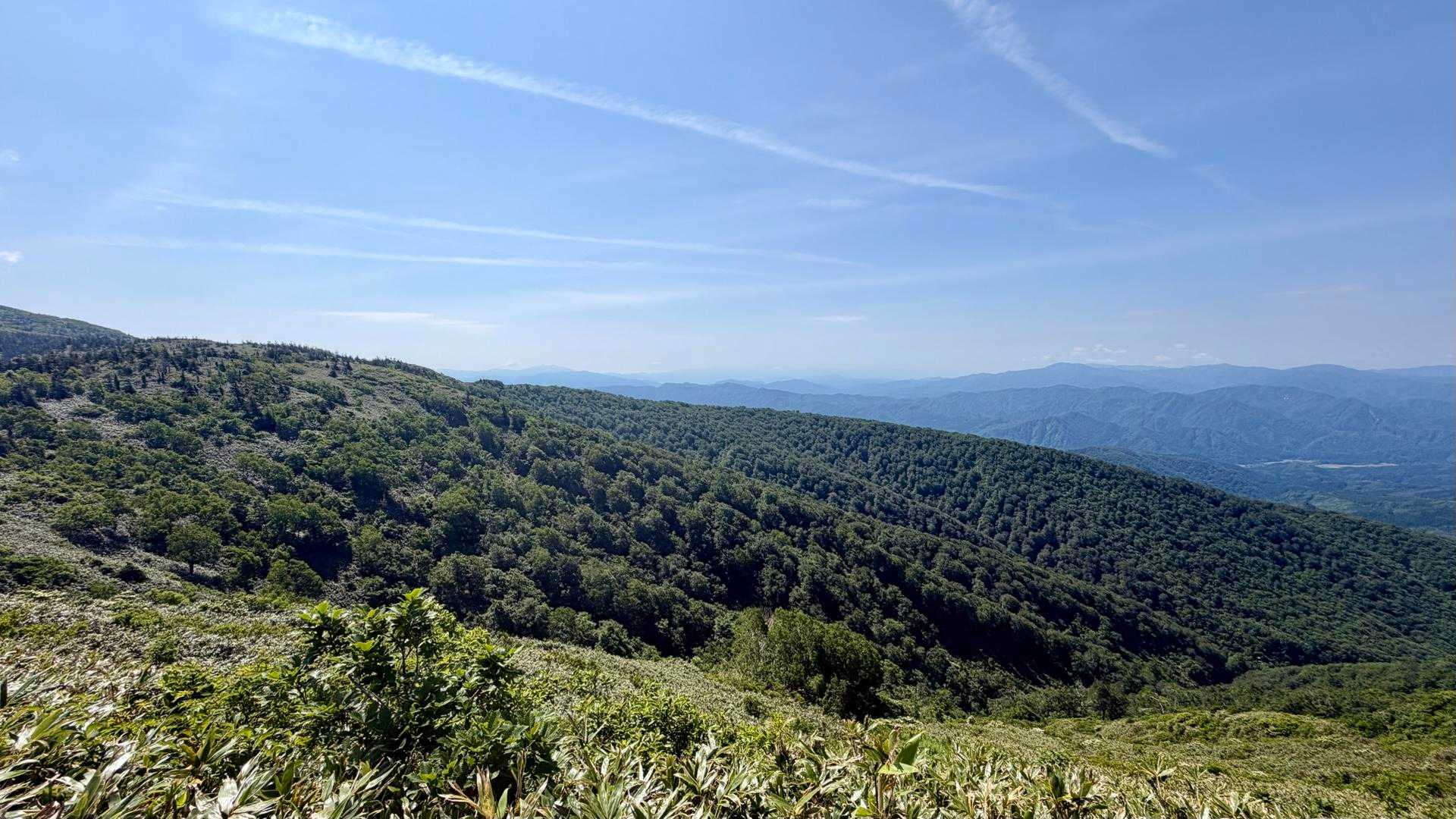 ゴンドラで手軽に天空の花畑へ。360度の絶景が迎える森吉山を往復の写真