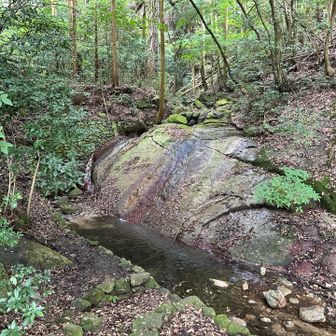 汐井川の水量は増えていない