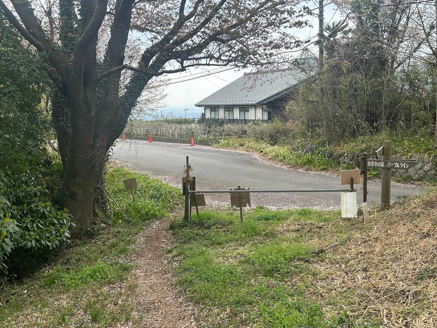 下ってまたアス道に