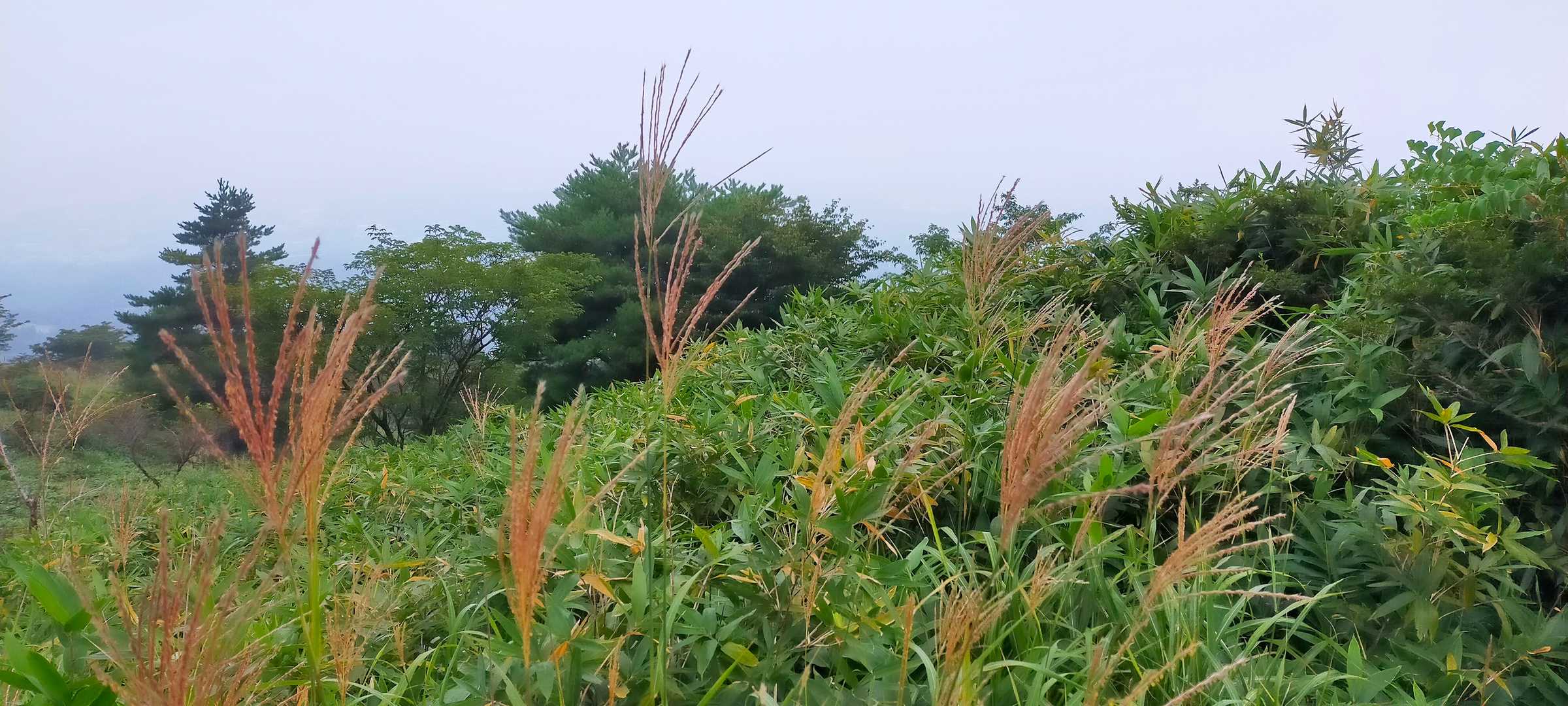 秋の装い🌾