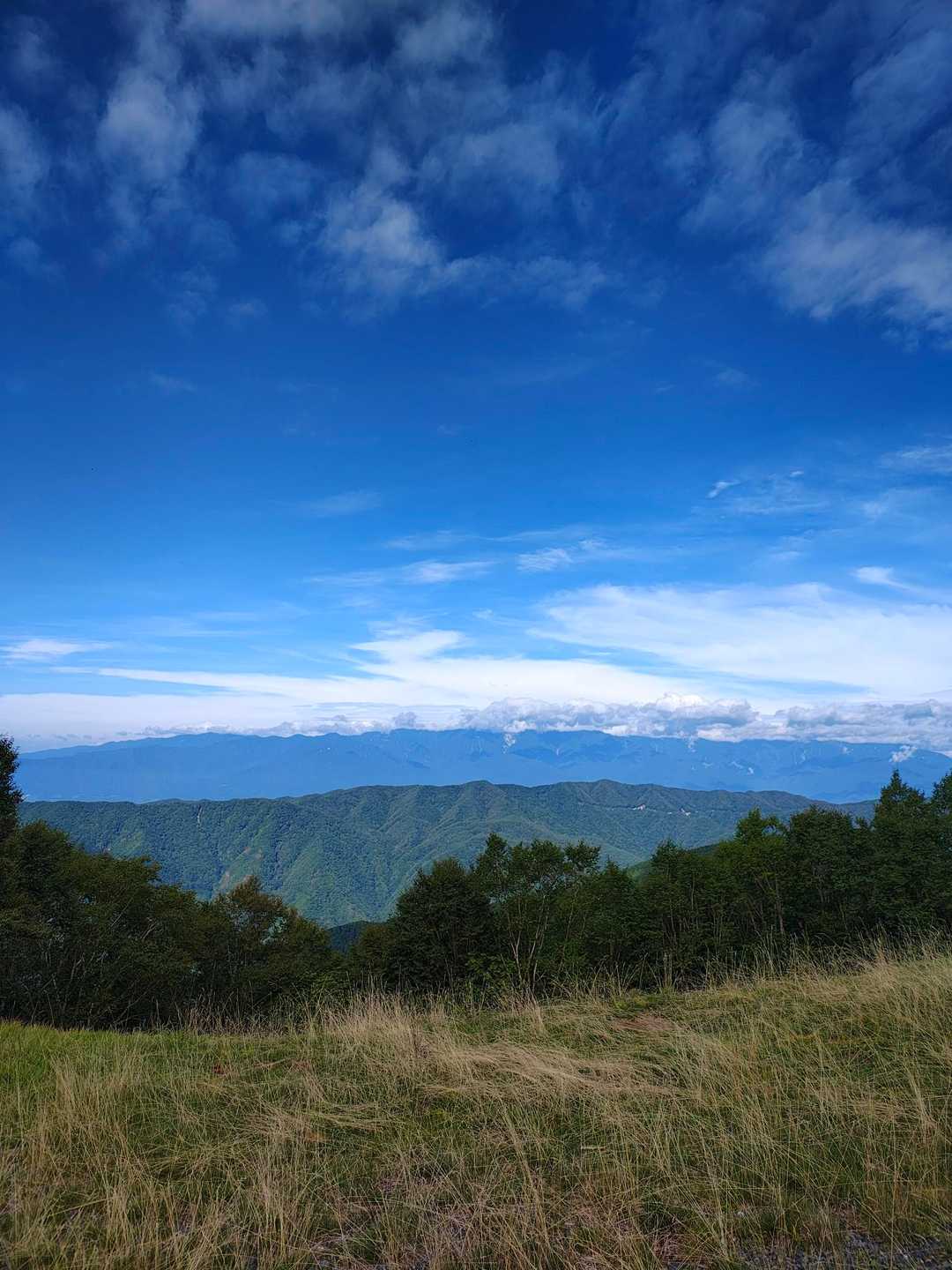 ただ林道歩いているだけだけど景色いい