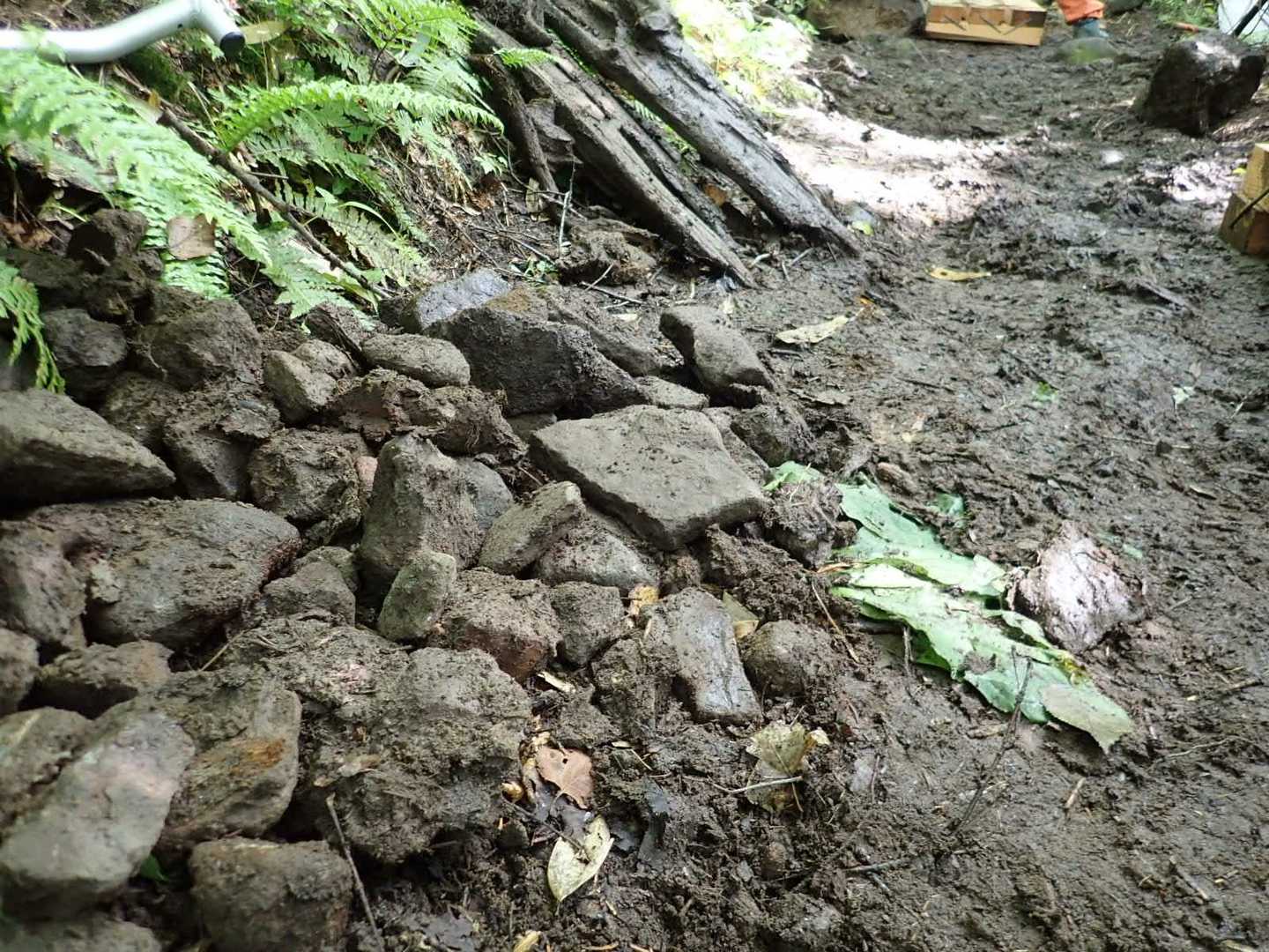 こんなに岩とか石とか埋まってるんですね😲