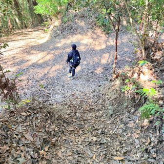 寒すぎて、登山口までダッシュ🏃‍♀️💨