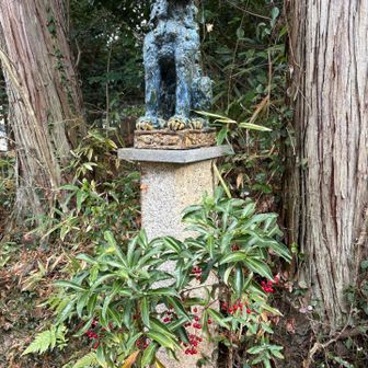 ふもとの椿園の一角獣と万両