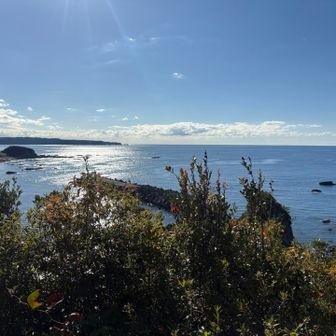 展望所
ここ来る道間違えたので戻る形で来た