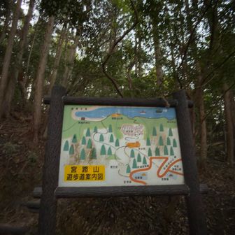今日は左側の登山道を､､､､
