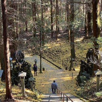 階段降りてて下のイチョウの葉っぱがきれいでした💛