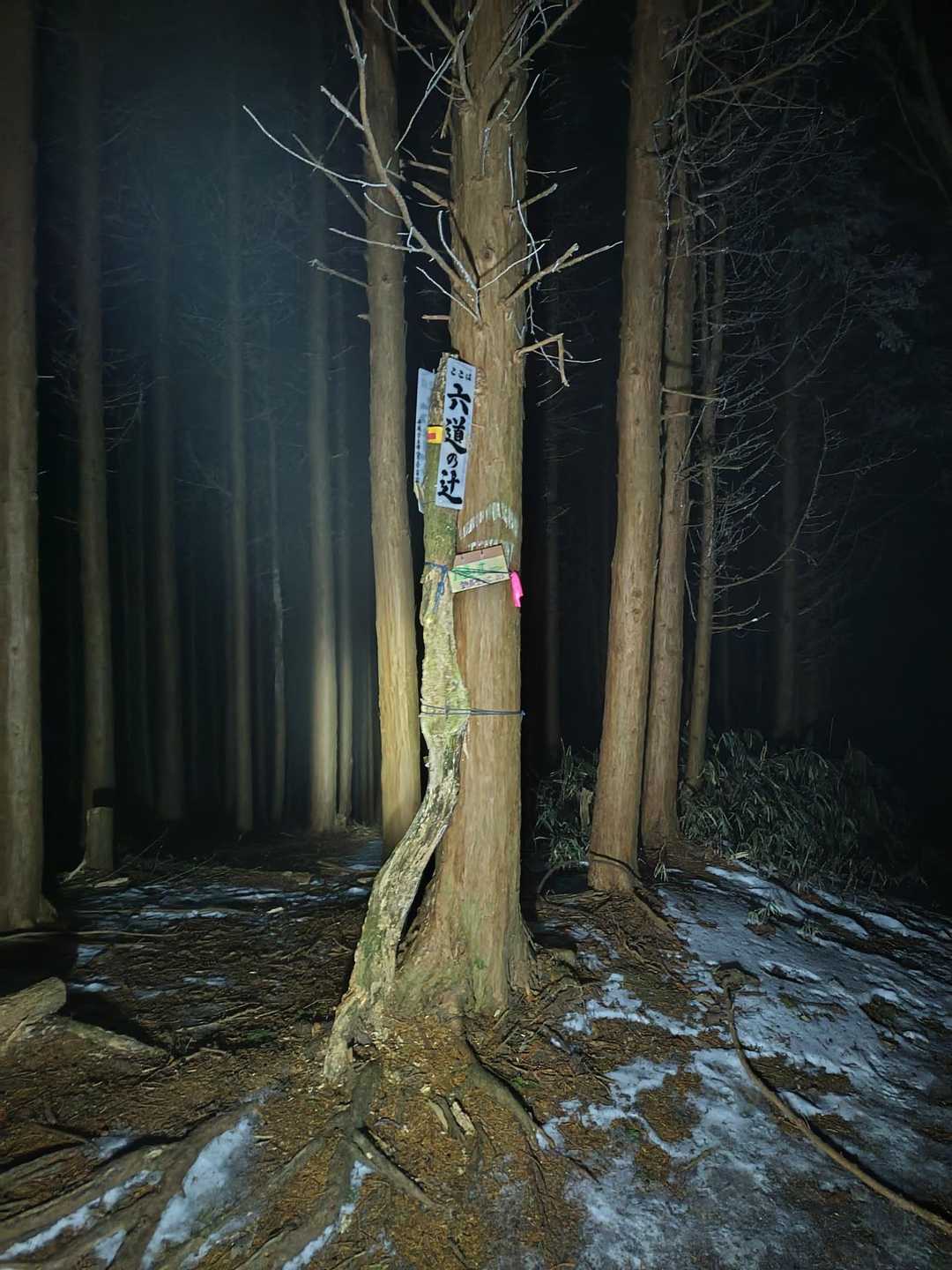 ここでチェンスパを着けて進みました😁。