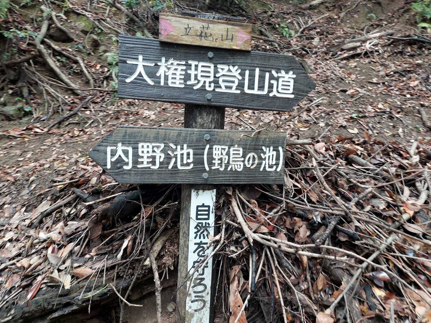 大権現登山道→前日の大雨で、初のこの急登コースは滑り易かった💦😥