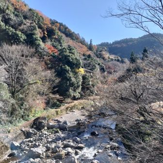 紅葉🍁は終わりましたね