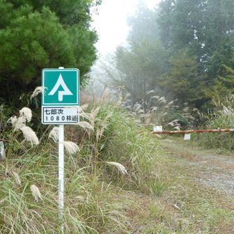 山の中から見えてた、新しい林道🙄この辺工事のダンプが良く走ってるな〜