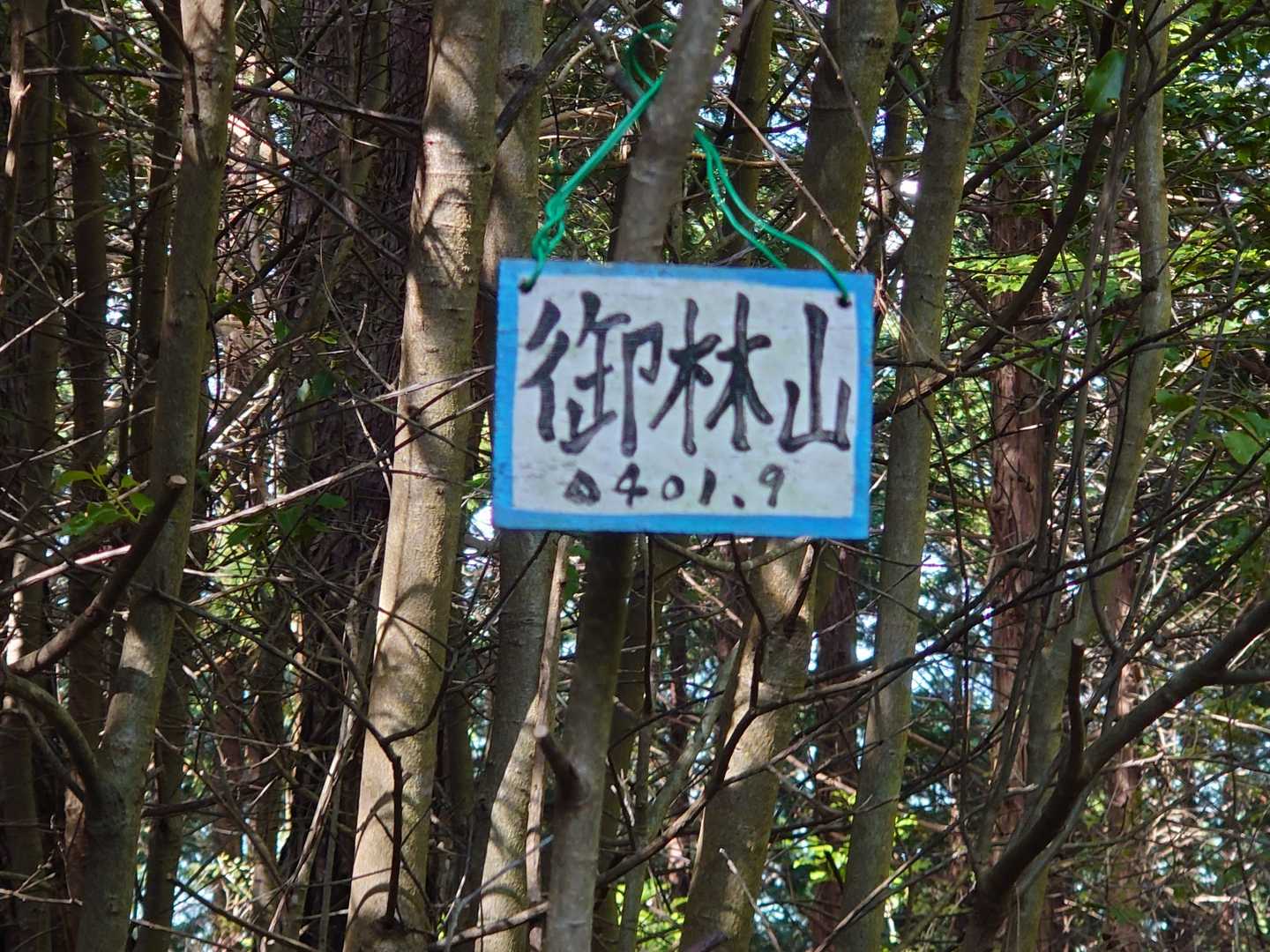 御林山山頂🚩ですが、ご覧のとおり樹木に囲まれ、展望は全くありませんでした😞