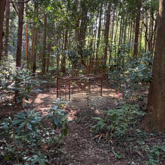 おや？箱罠が🪤イノシシ🐗用かな？