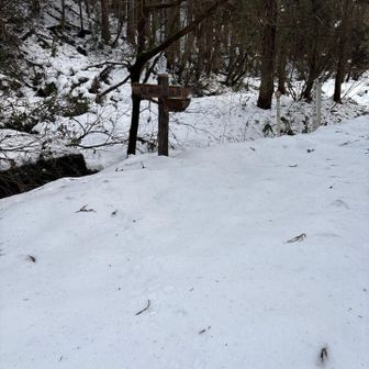 ここから右へ、すぐ急登