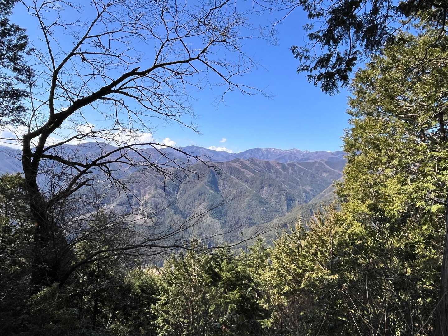 竹寺　見晴台より
