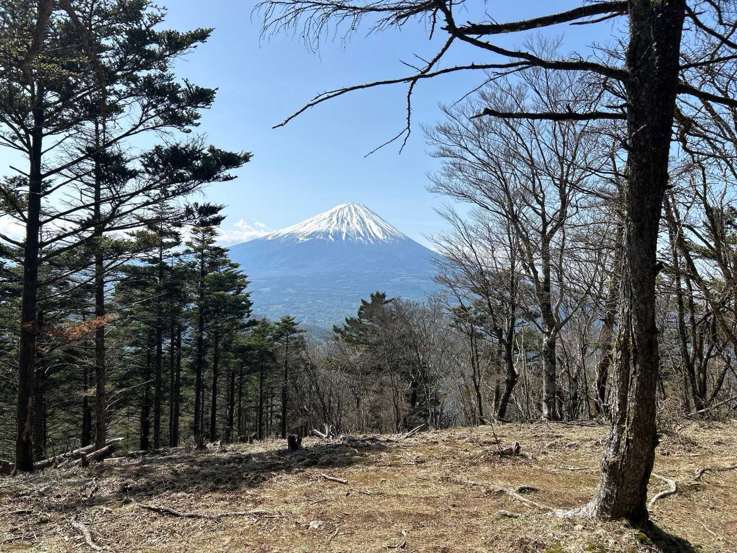 金山山頂より。
静かでいい。