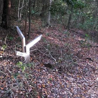 少し北上して「つれづれみち」へ