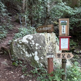 ここが登山口です！