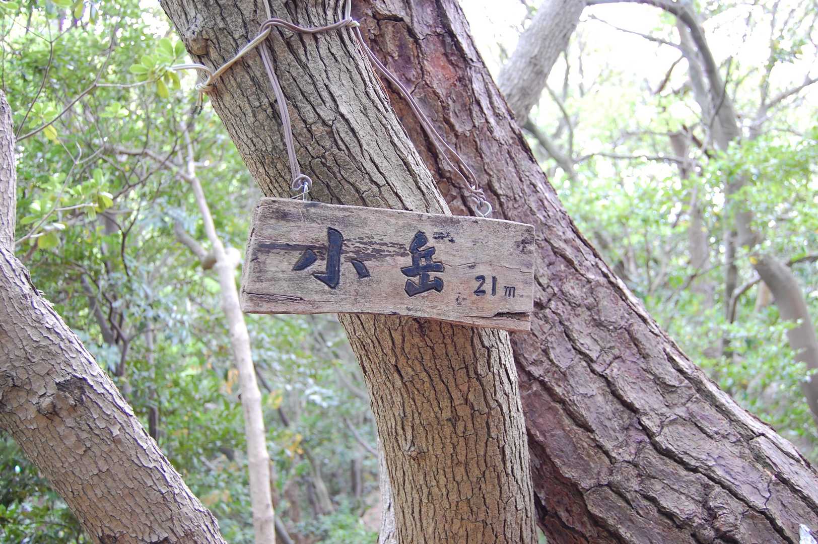 小岳〜
お疲れでした！