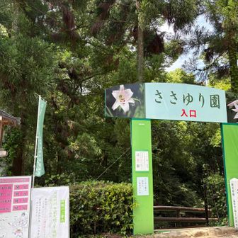 5月23日から「ささゆり園」が開園