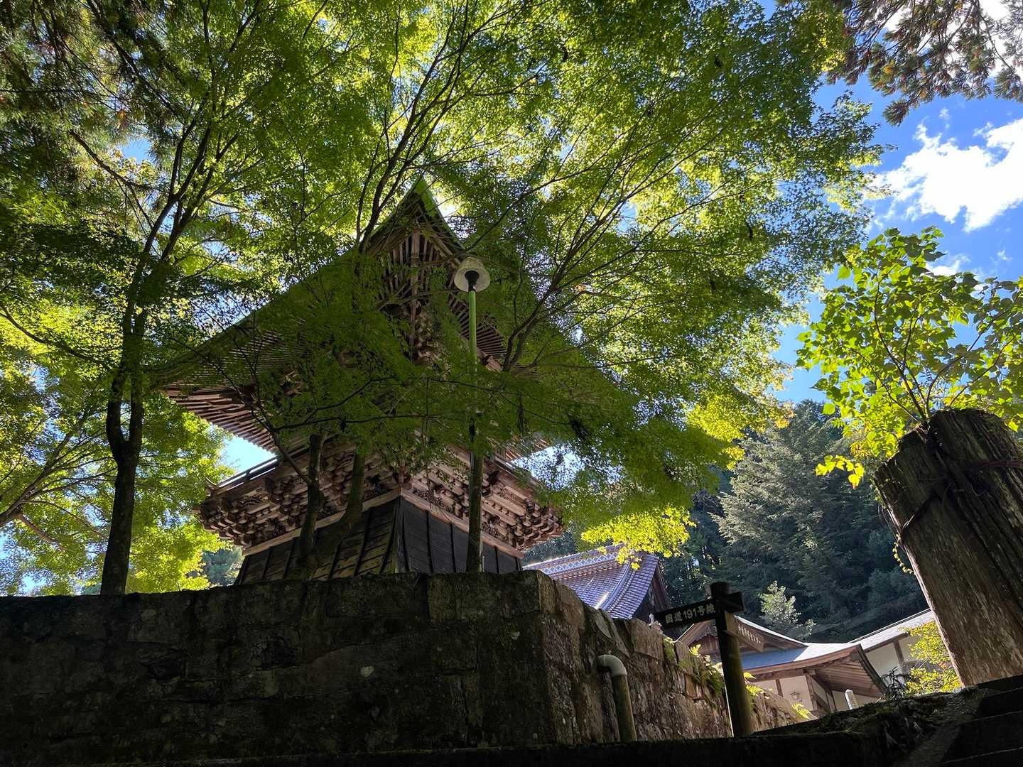 紅葉🍁したら又綺麗だろーなぁ～(*´˘`*)♡