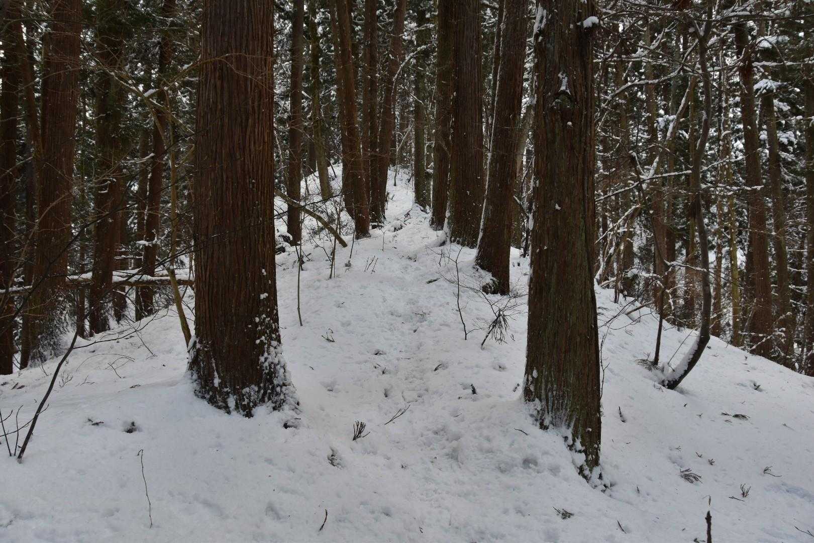 鷹取山 往復コースの写真