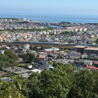 箱根駅伝7区平塚中継点を眺めてたら踊り子号通過