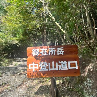 中登山道から。