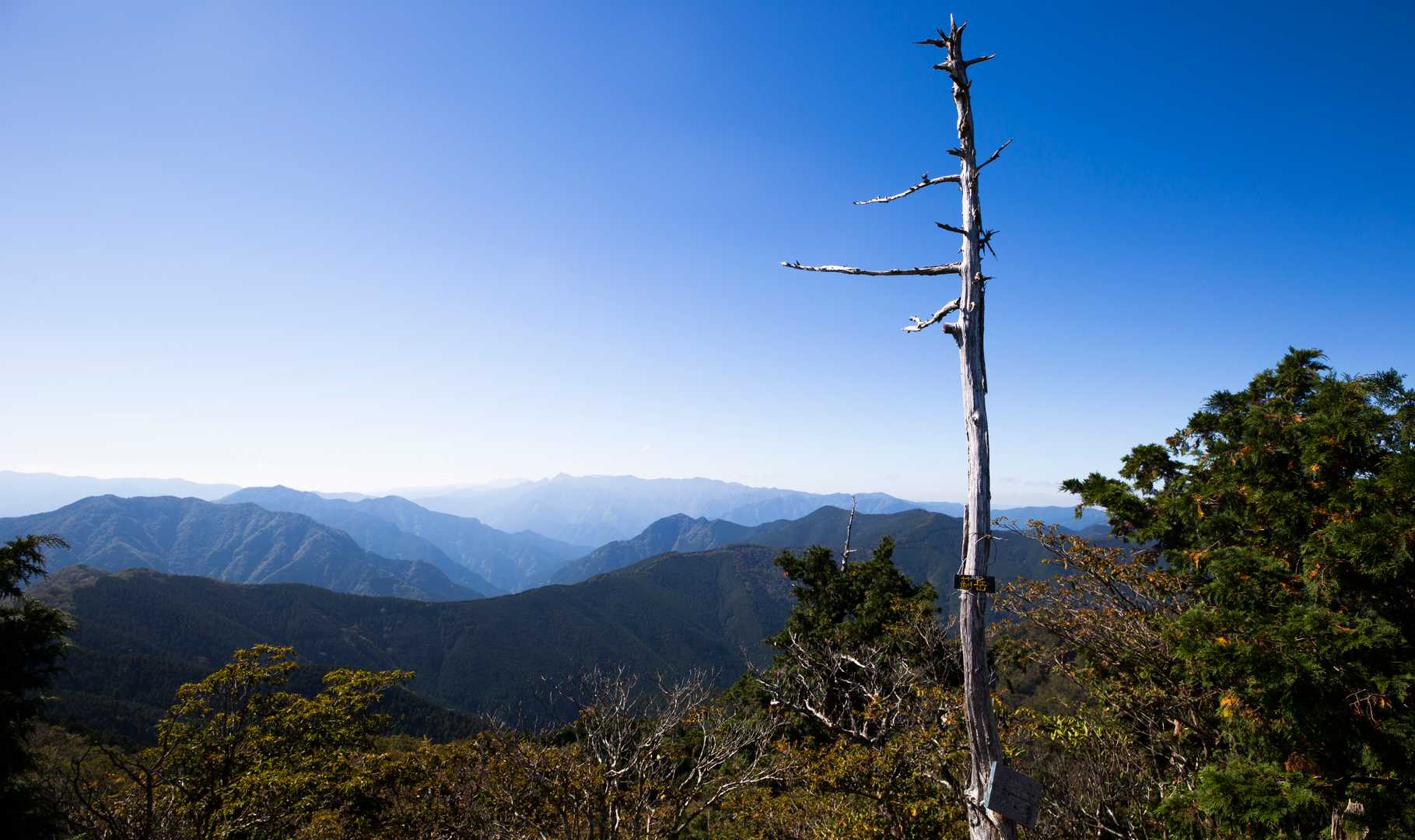 大普賢、弥山側も丸見え