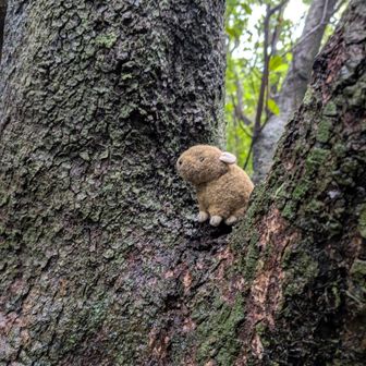 剣先山到着🇯🇵
ナッキー喜ぶ