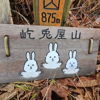 カワイイ😘🐰🐰🐰‎🤍