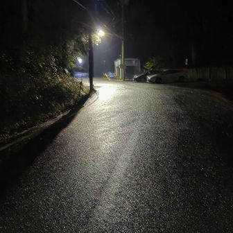 今朝は、登山口駐車場まで愛車のポルシェで来ました、道中チャメチャ雨降っていたのですが…ここは今現在ふってませんね～✨