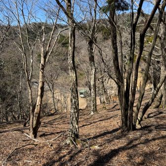 駐車場が見えた。