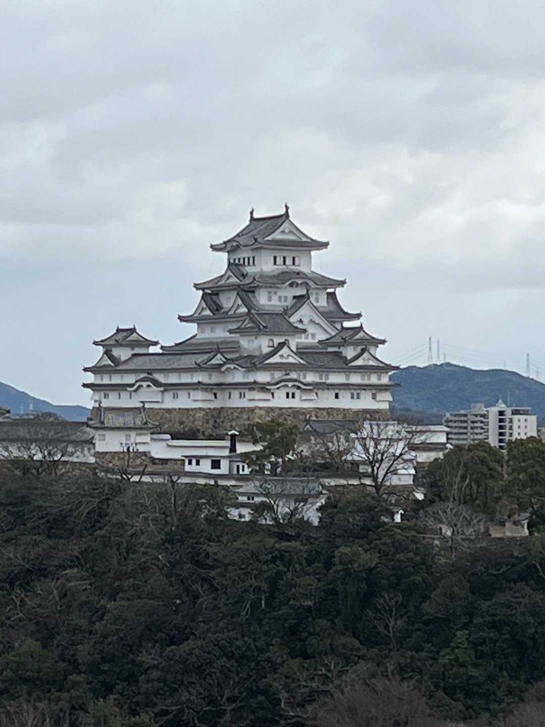 わー✨姫路城🏯だ〜👏👏👏
品のあるカッコ良い佇まいだよね〜🙆‍♀️
（俺とよく似てるな✨🐷✨）