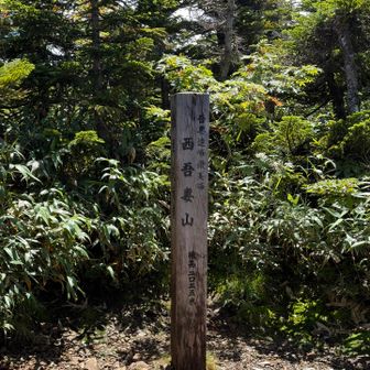 山頂に到着👏2035m⛰️
なんとも質素な佇まいでございます😅
あと９年後には大人気になるかな？