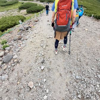 割と登り易い登山道