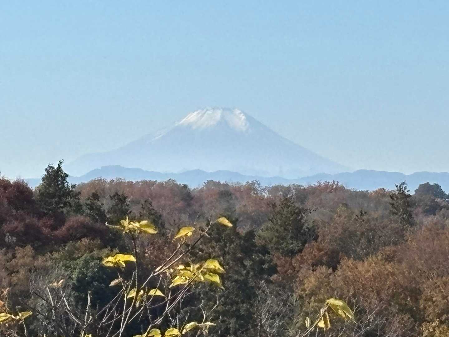 狭山富士からの富士山🗻
今日はスッキリ晴れてるのでよく見えました👀